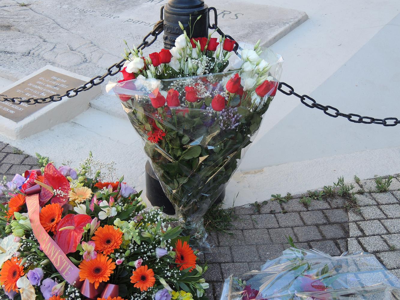 2020 07 05 TOULON HOMMAGE AUX VICTIMES DU 5 07 1962 D ORAN ET DU 26 03 1962 D ALGER (14).JPG -           